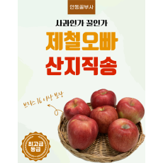 제철오빠 꿀사과 안동부사 시나노골드 흠집 못난이 [원산지:국산(경상북도 안동시)]