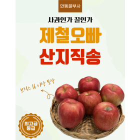 제철오빠 꿀사과 안동부사 시나노골드 흠집 못난이 [원산지:국산(경상북도 안동시)]